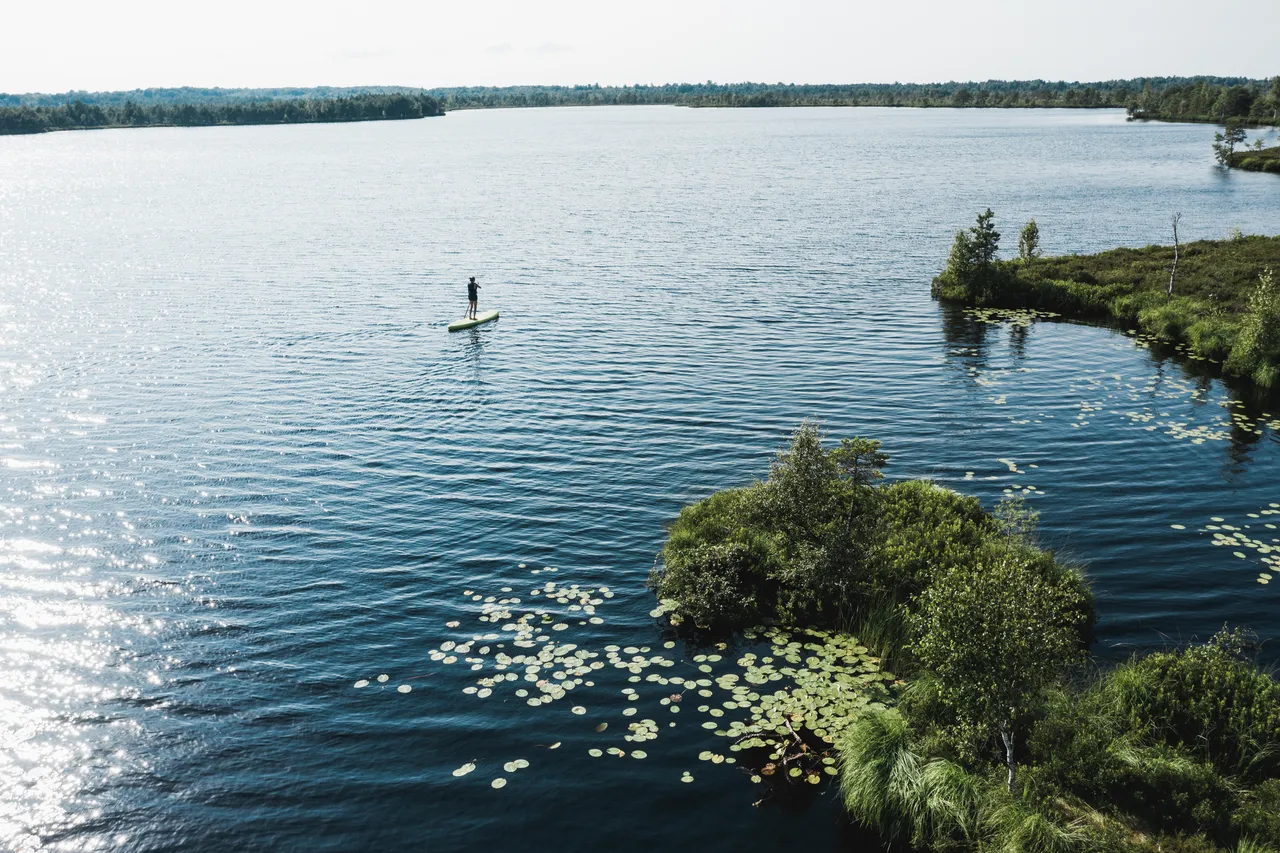 Saaremaa Koigi bog SUP