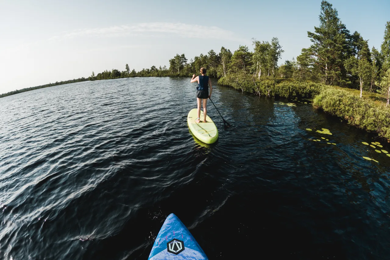 Saaremaa Koigi bog SUP