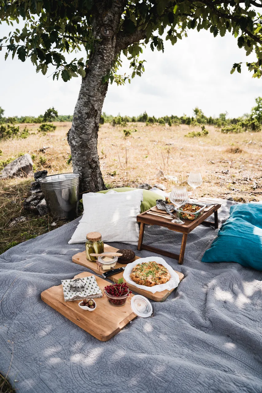 Muhu picnic on Üügu bluff