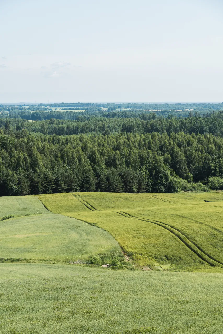 Meremäe Viewing Tower