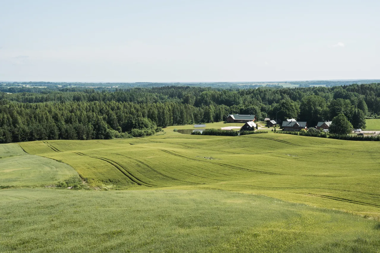 Meremäe Viewing Tower