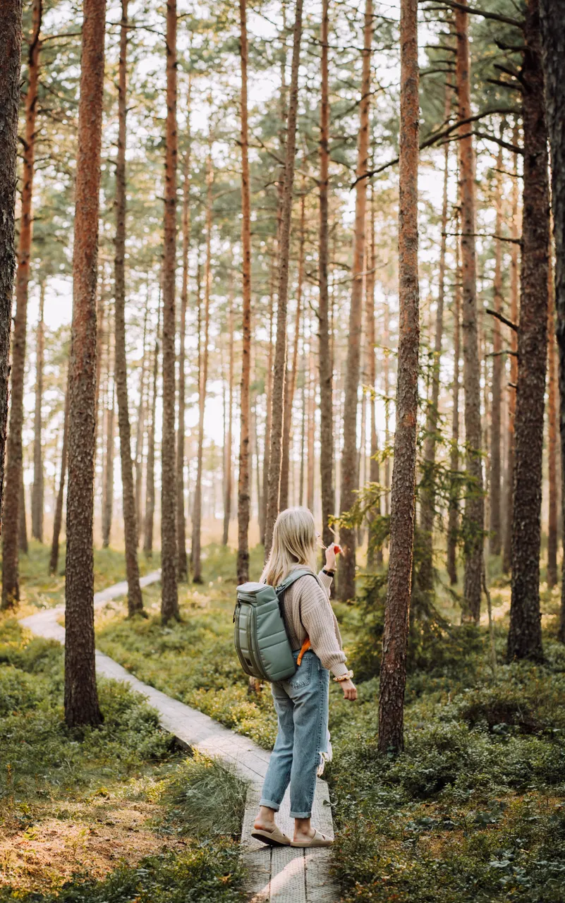 Hüpassaare study trail