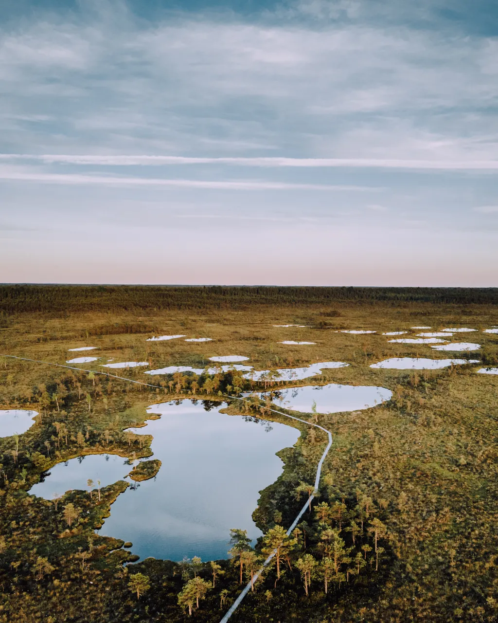 Hüpassaare study trail
