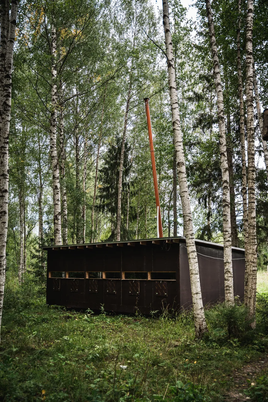 Alutaguse Bear Watching