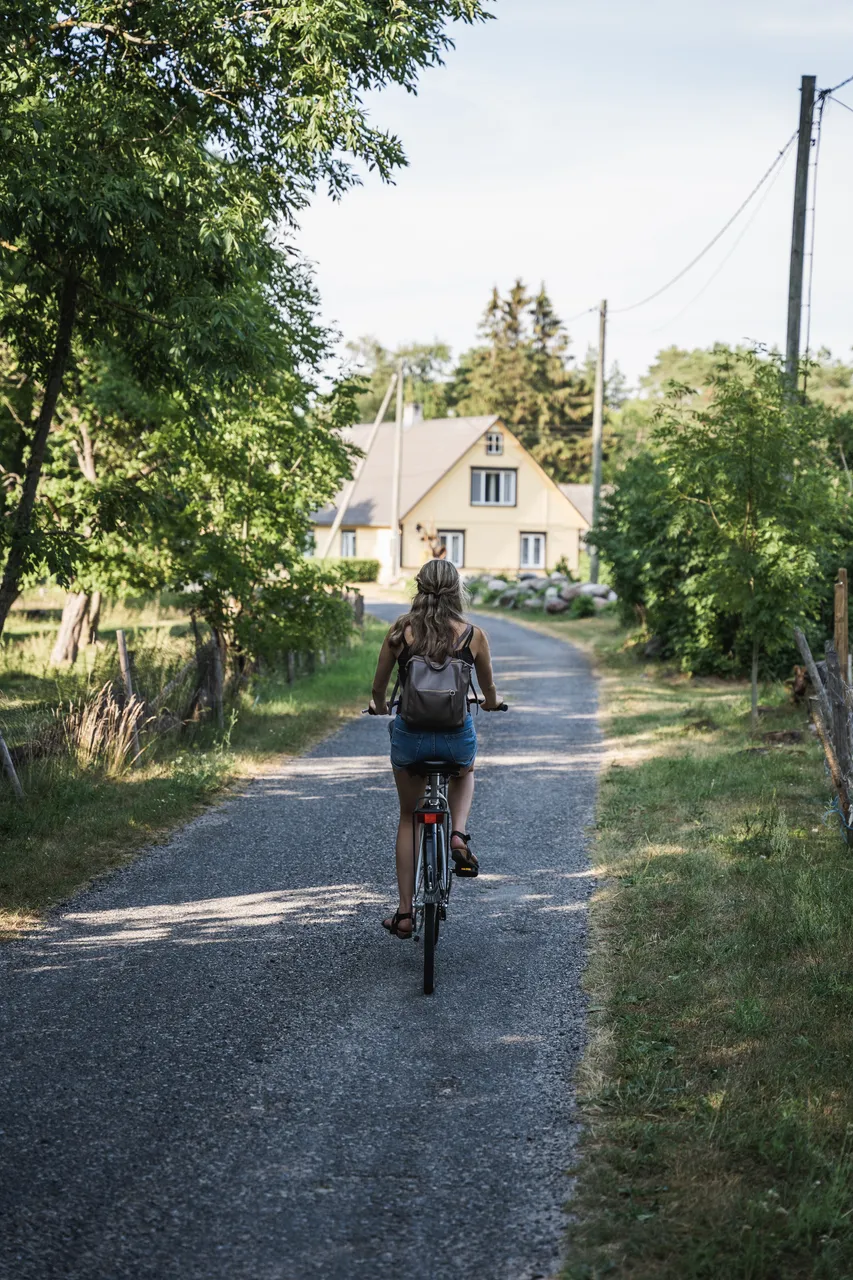 Kihnu reesuratas Travel Wheel