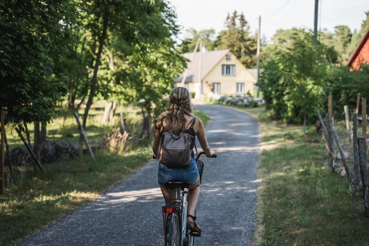 Kihnu reesuratas Travel Wheel