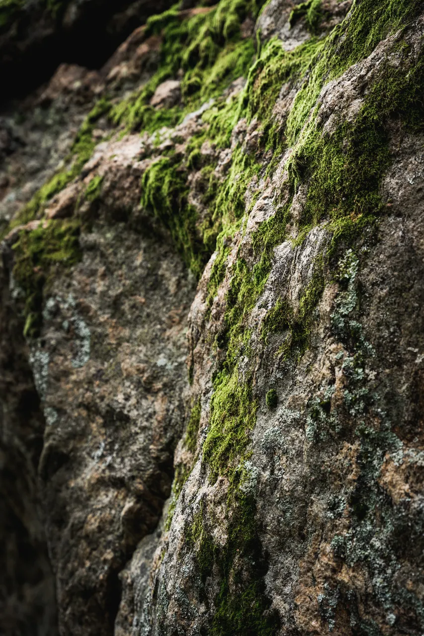 Majakivi nature trail