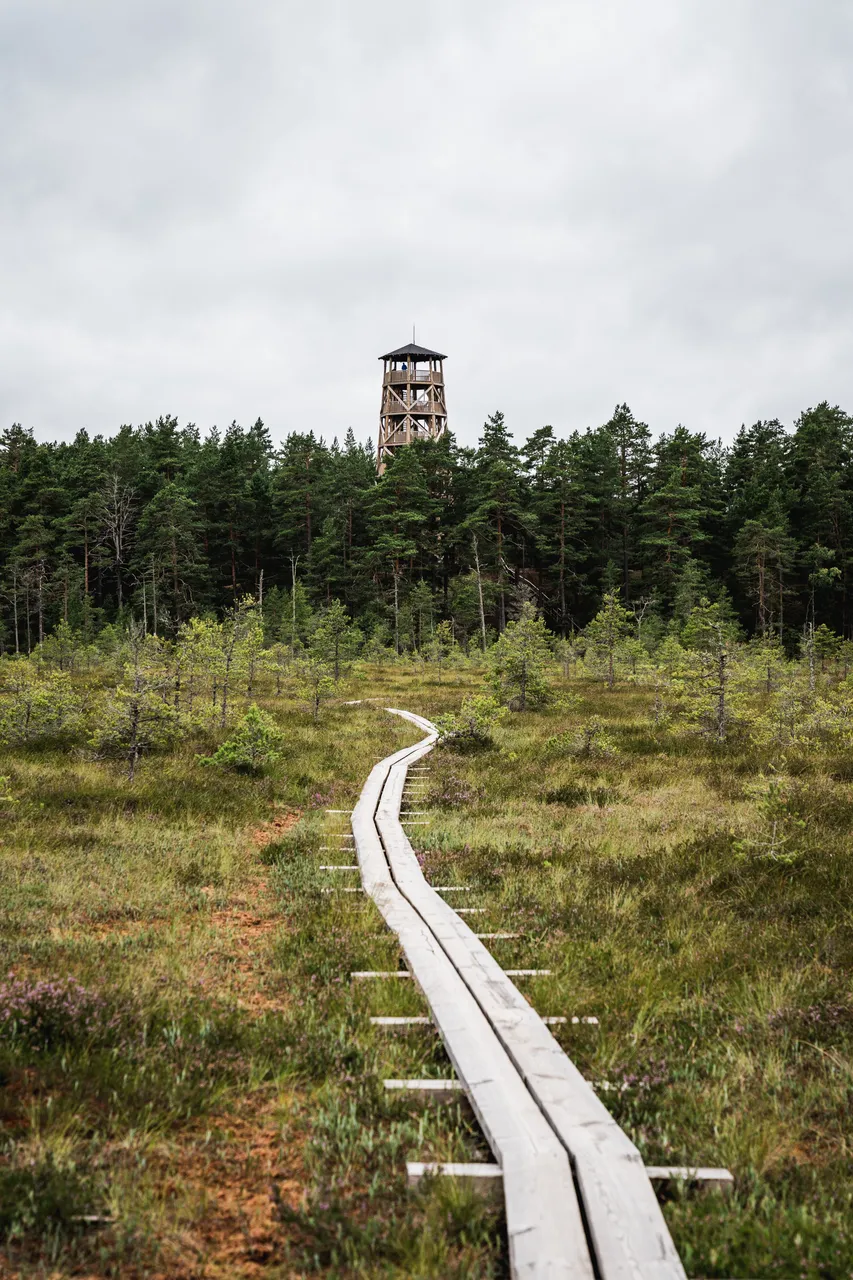 Majakivi nature trail