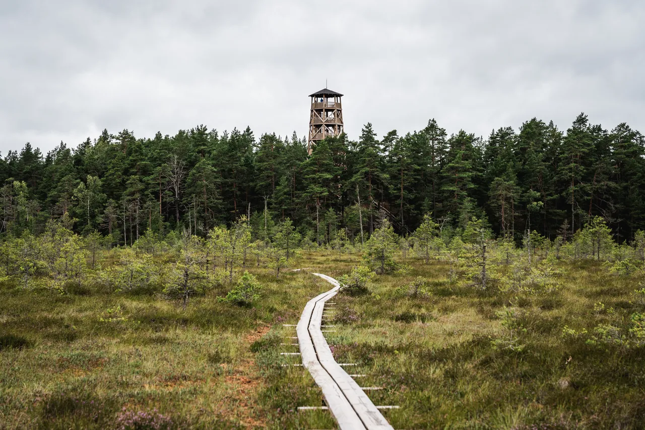 Majakivi nature trail