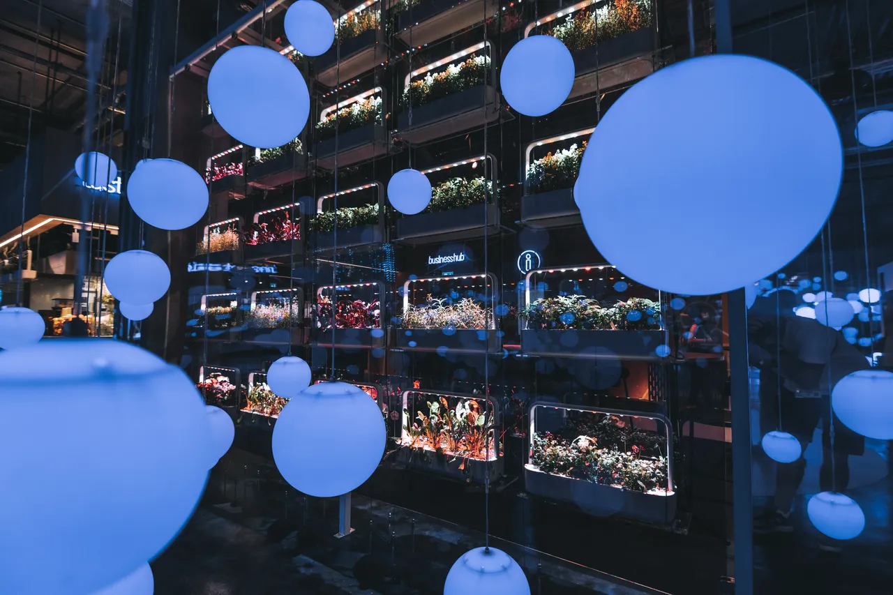 e-Estonia pavilion at Expo 2020 Dubai