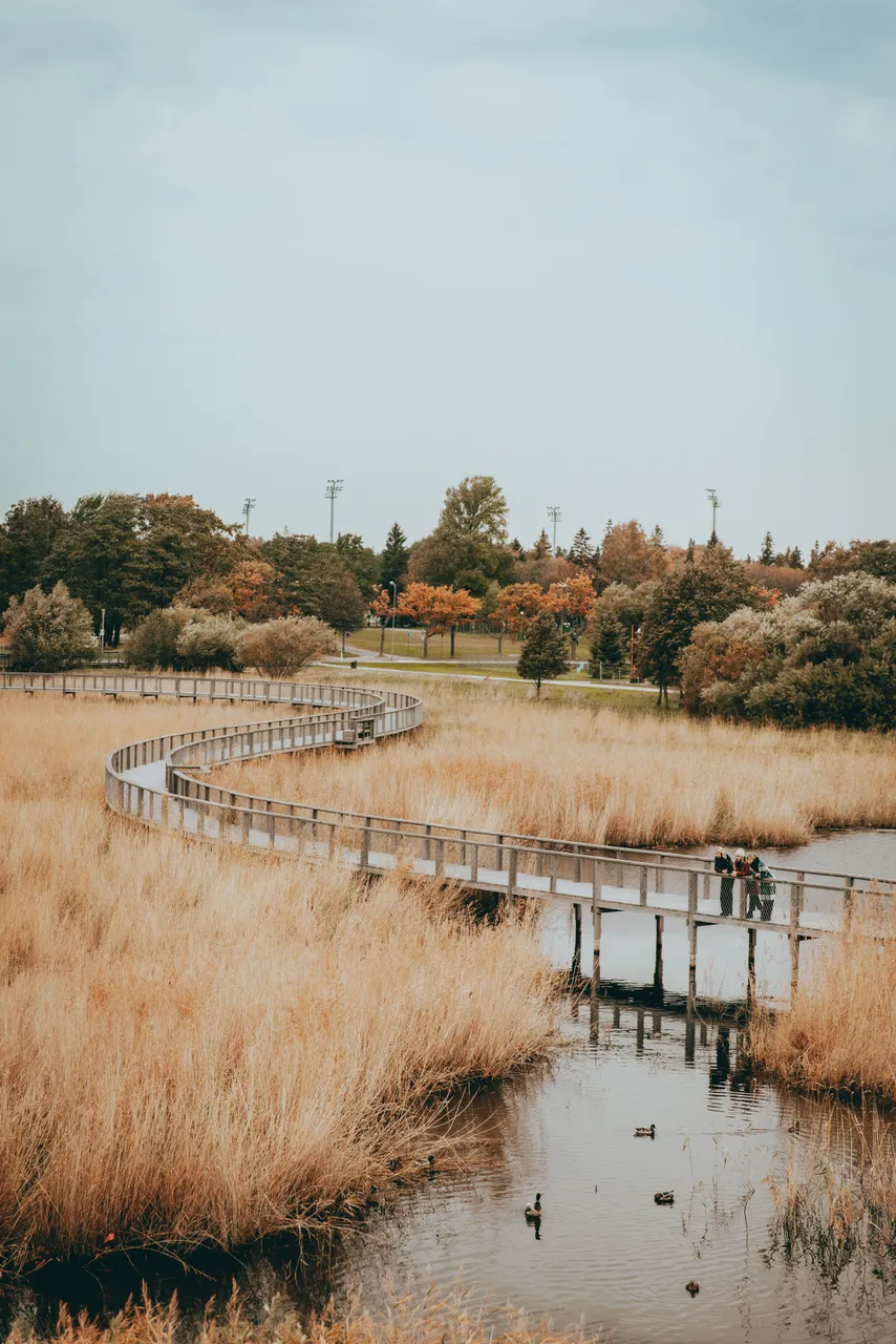 Pärnu coastal meadow hiking trail