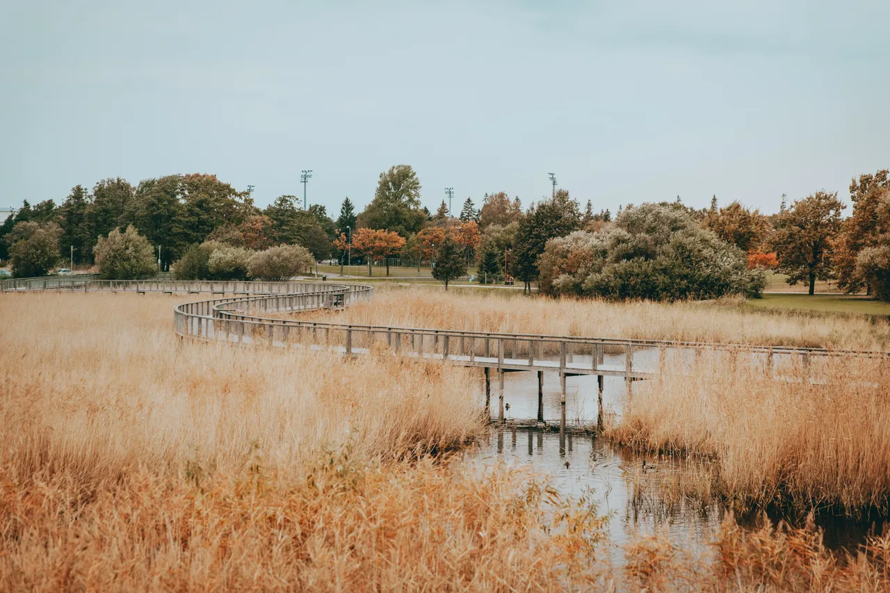 Pärnu coastal meadow hiking trail