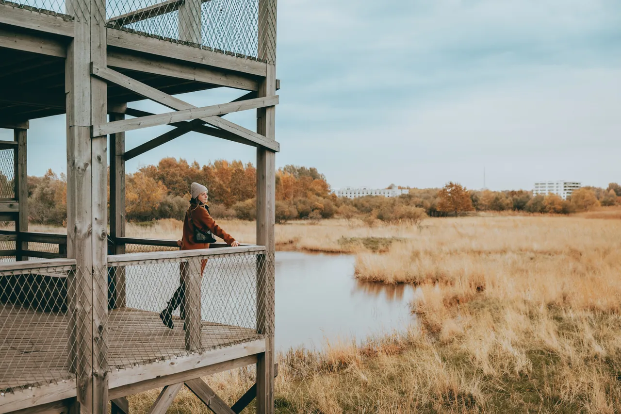 Pärnu coastal meadow hiking trail