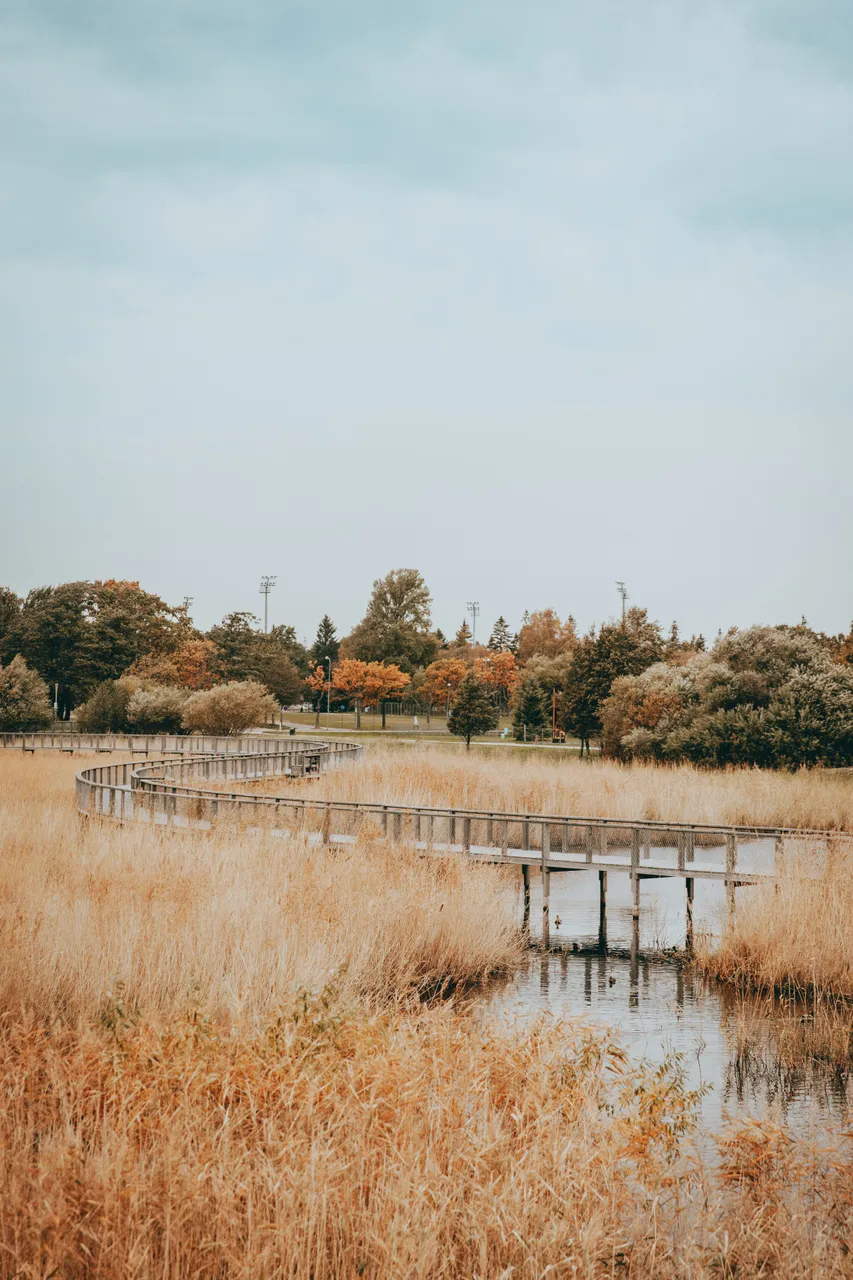 Pärnu coastal meadow hiking trail