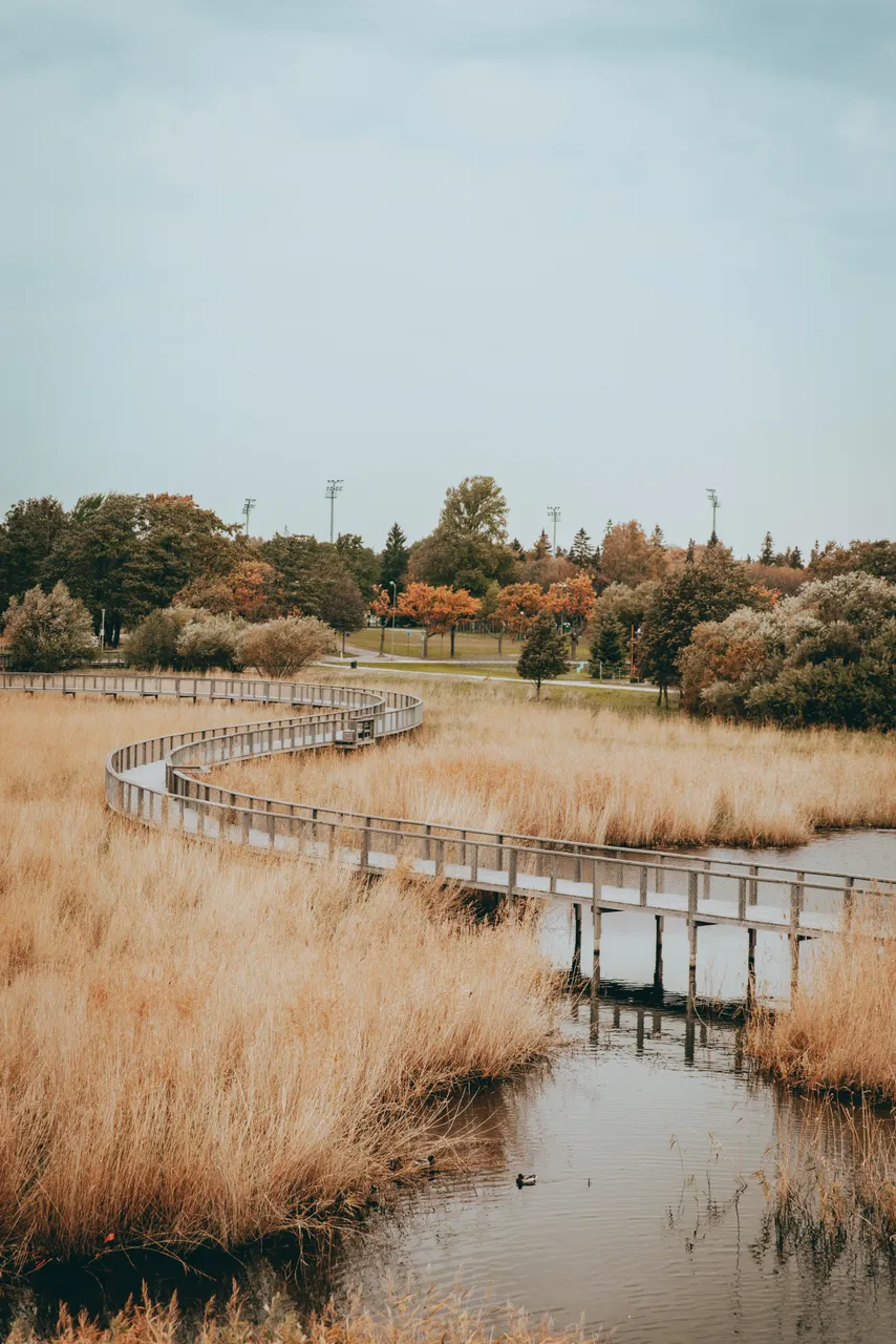 Pärnu coastal meadow hiking trail