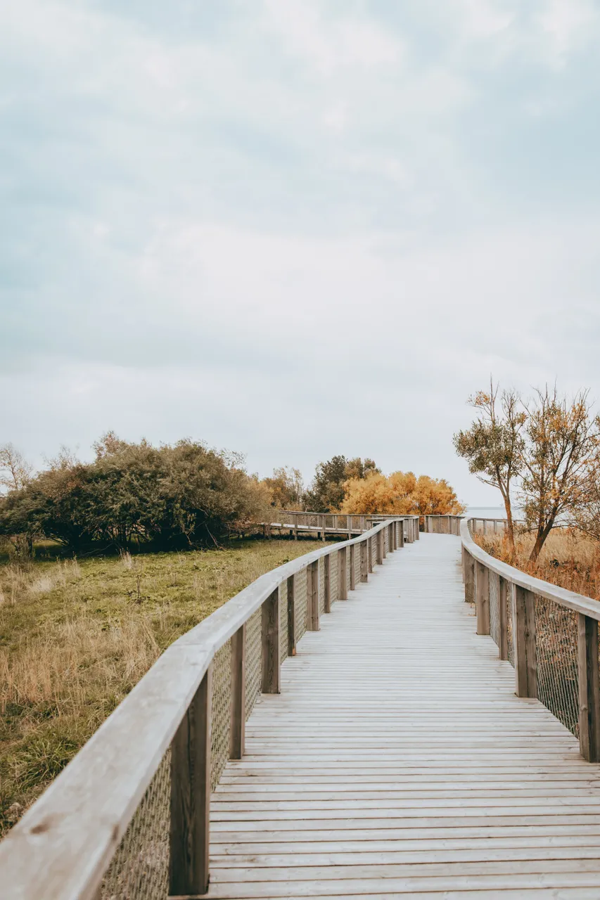 Pärnu coastal meadow hiking trail