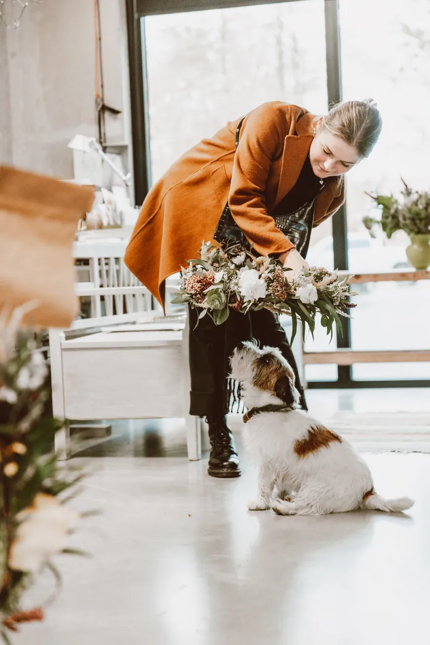 Kolme Karu Kaubamaja