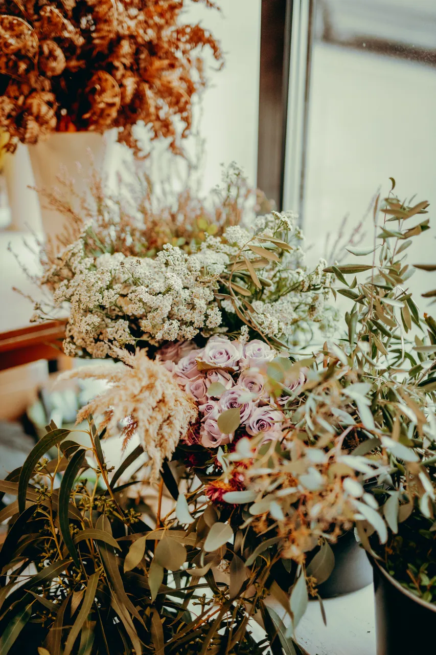 Kolme Karu Kaubamaja