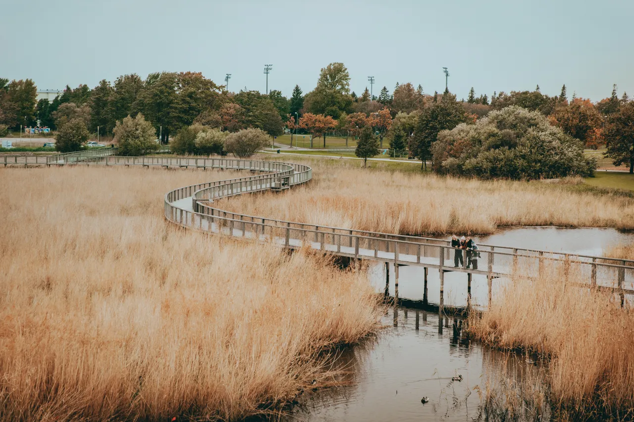 Pärnu coastal meadow hiking trail