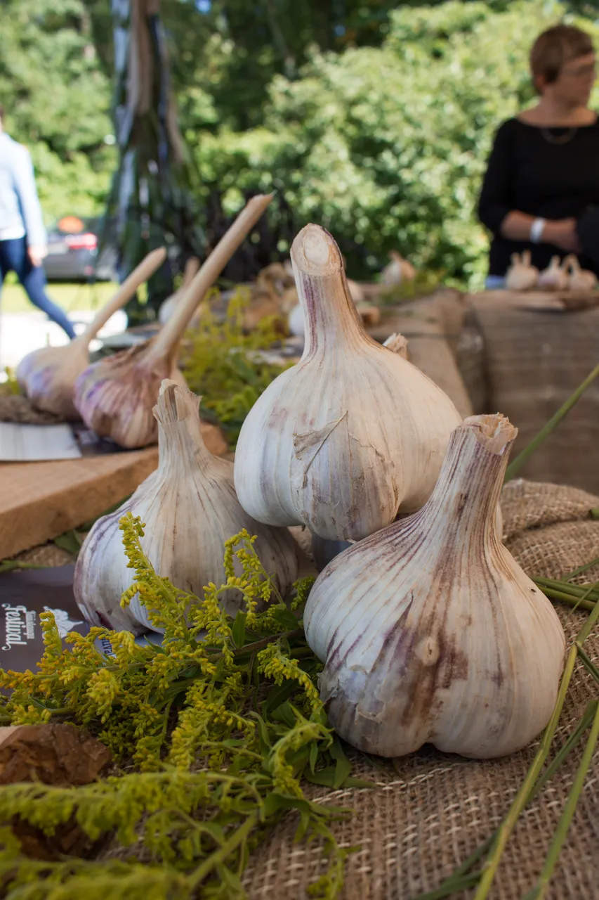 Garlic Festival