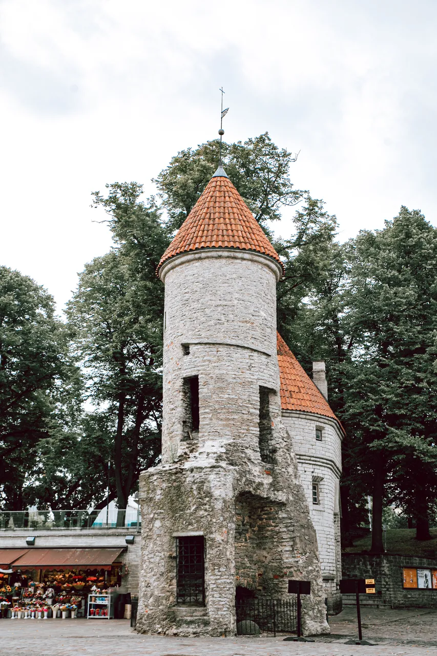 Tallinn Old Town