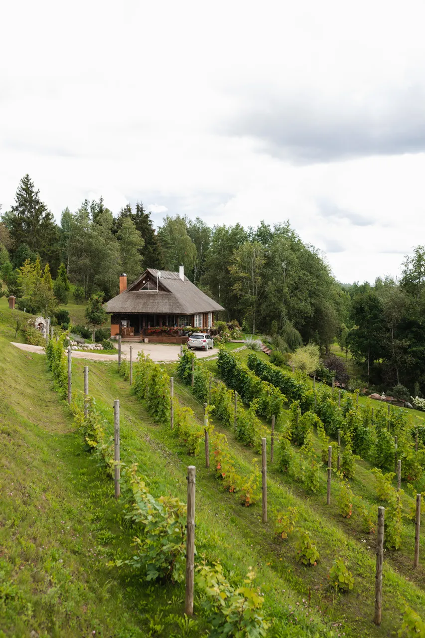 Murimäe wine cellar