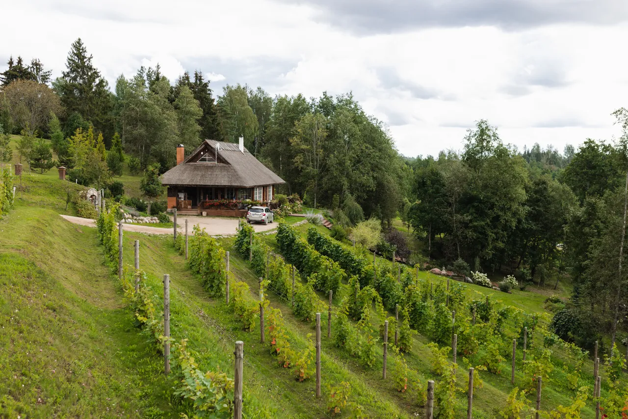 Murimäe wine cellar