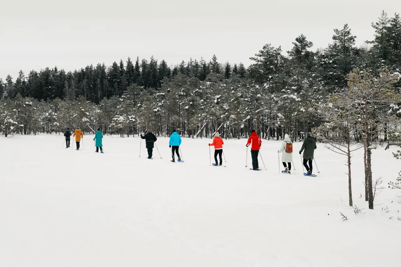Snowshoe hike