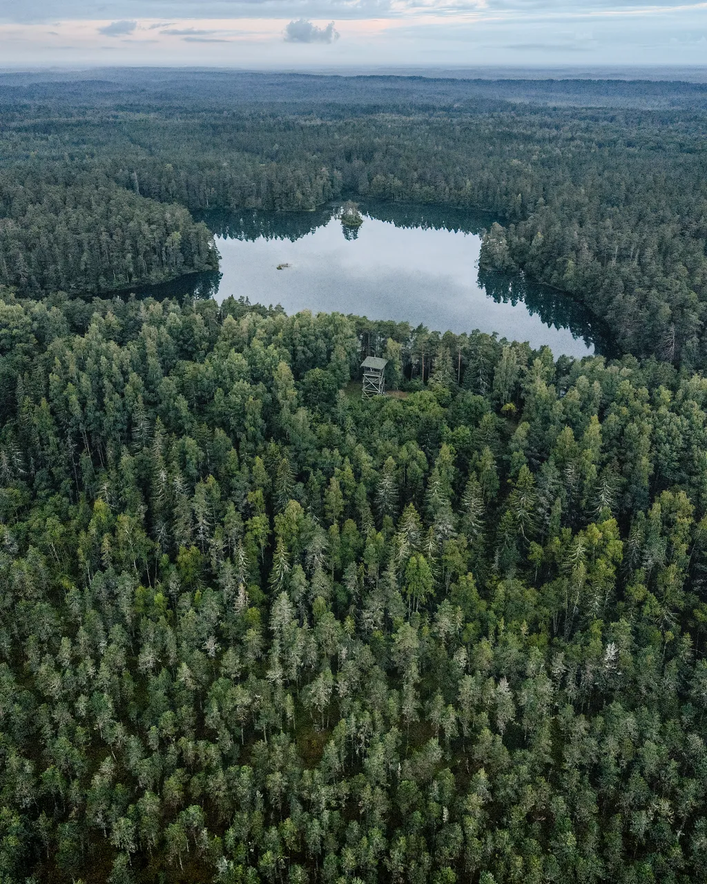 Paukjärve nature trail