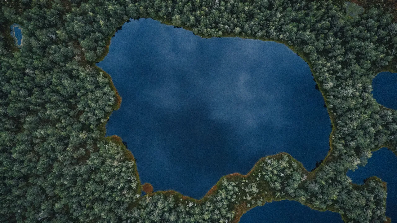 Paukjärve nature trail