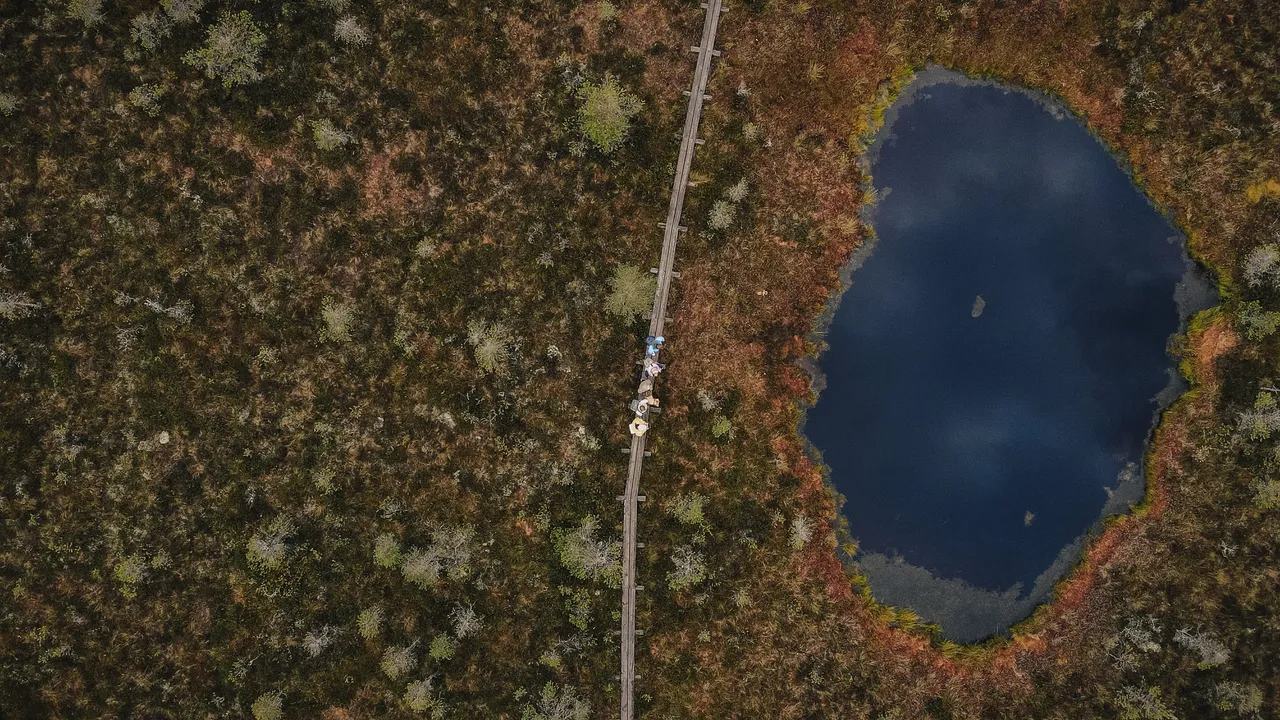 Paukjärve nature trail
