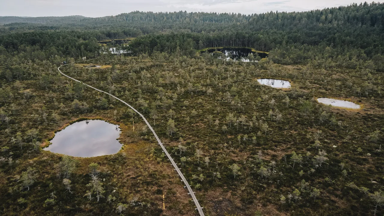 Paukjärve nature trail