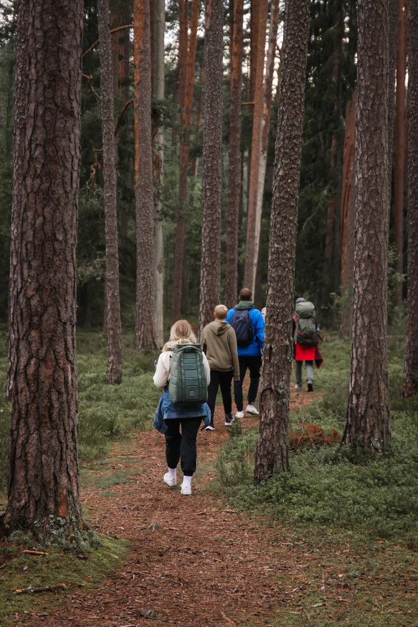 Paukjärve nature trail