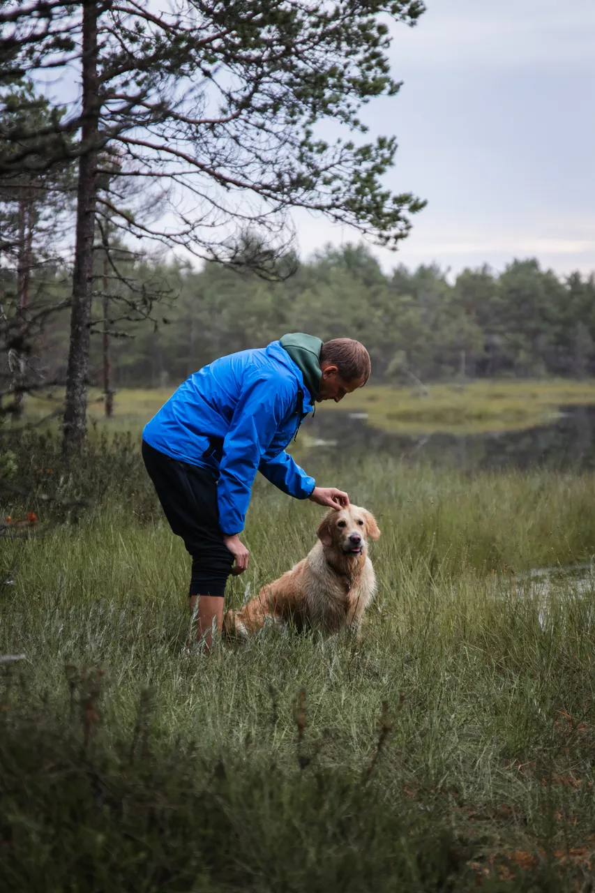 Paukjärve nature trail