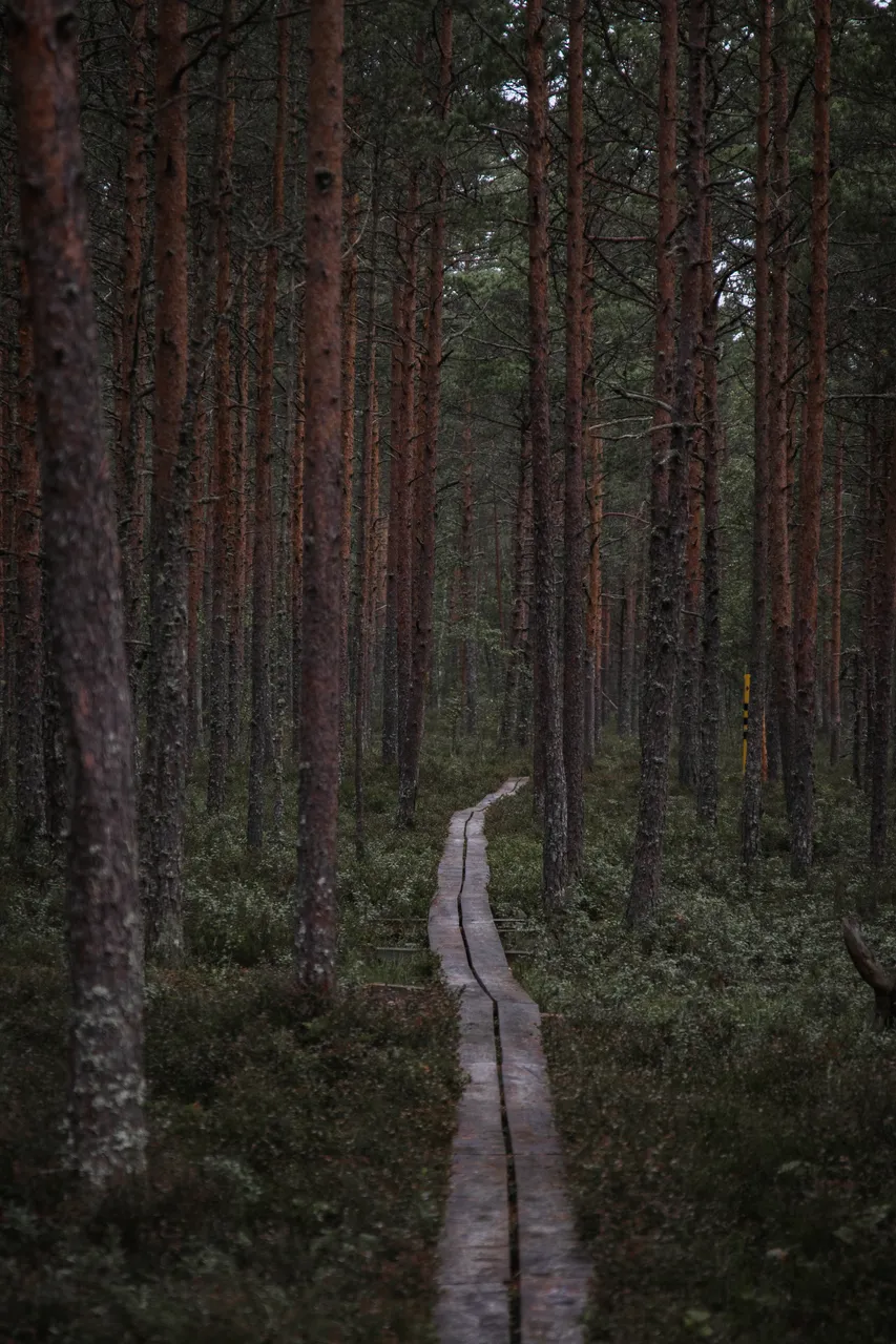 Paukjärve nature trail