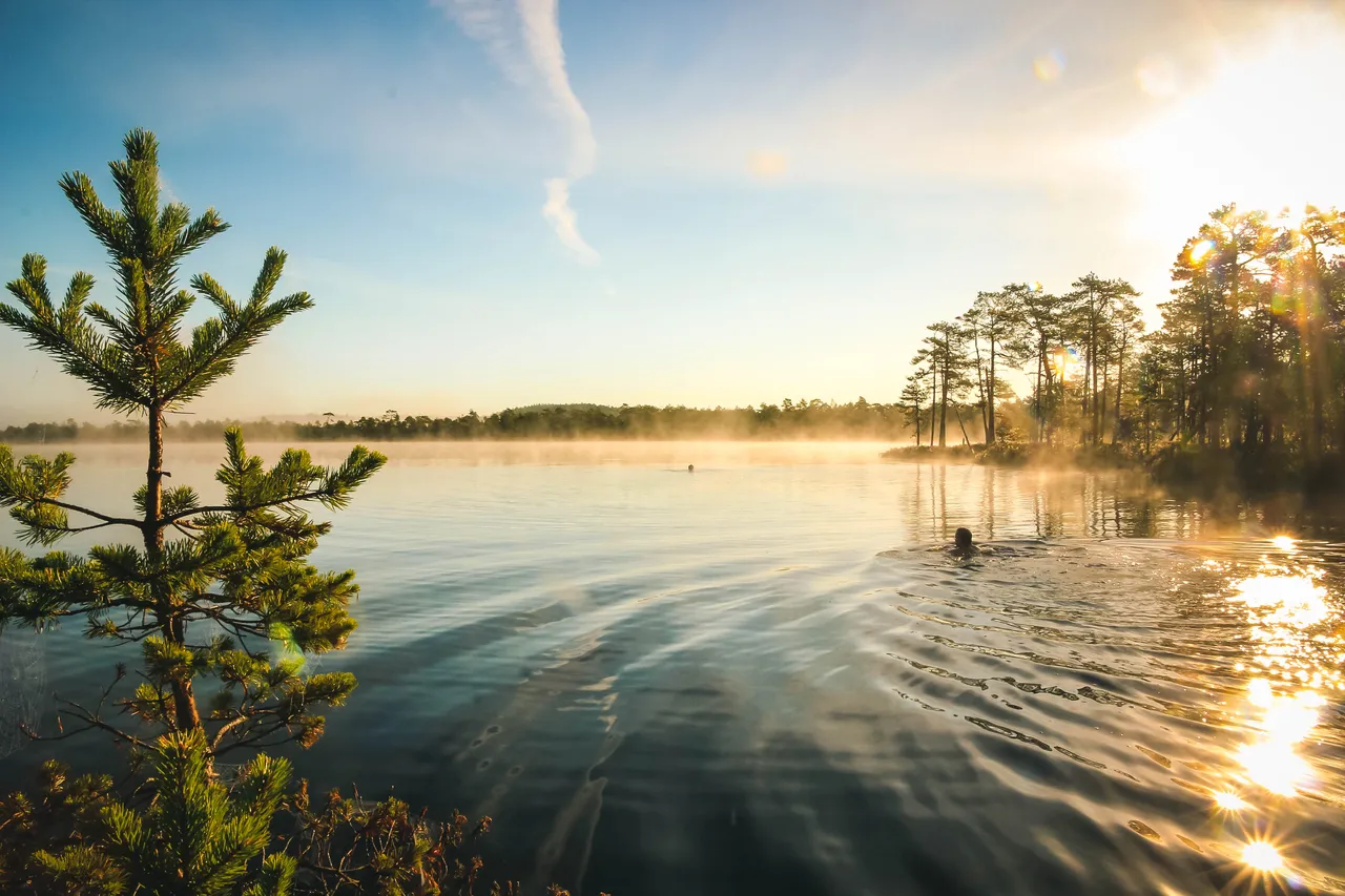 Meenikunno bog lake swimming