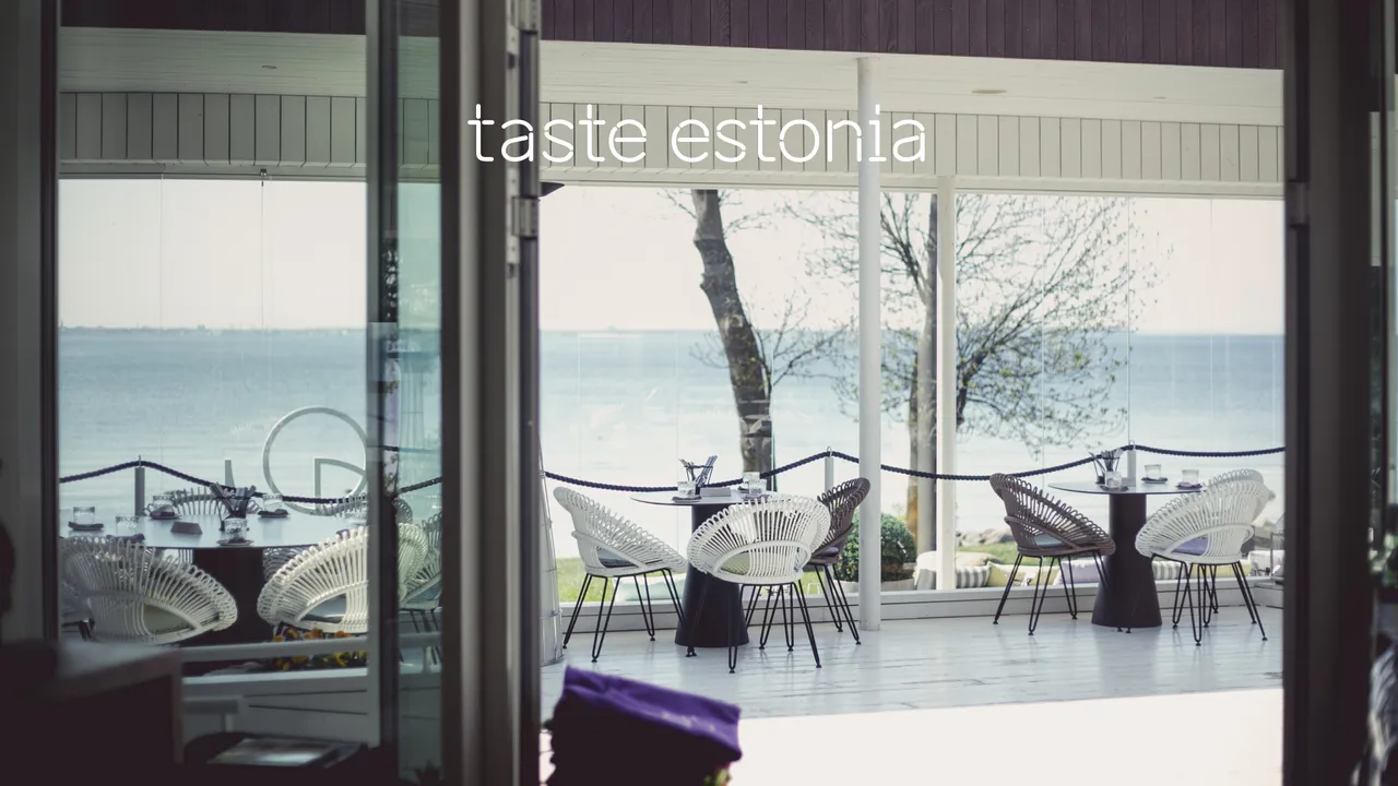 taste estonia video call background