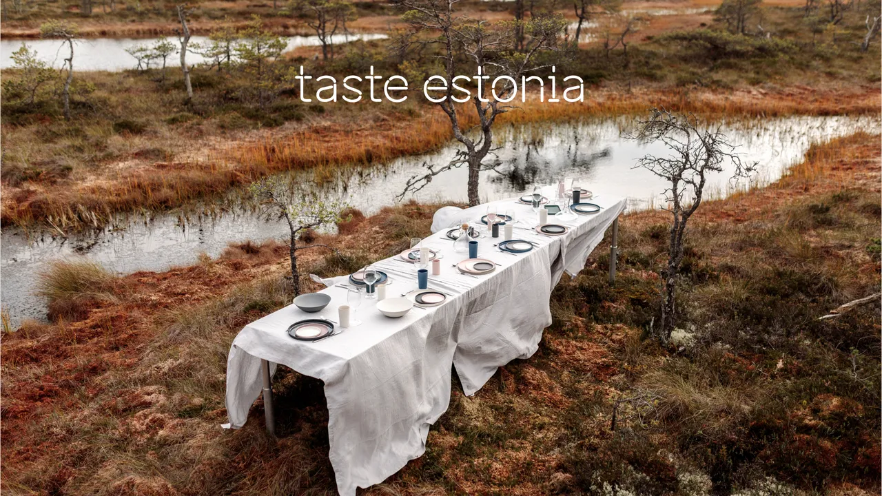 taste estonia video call background