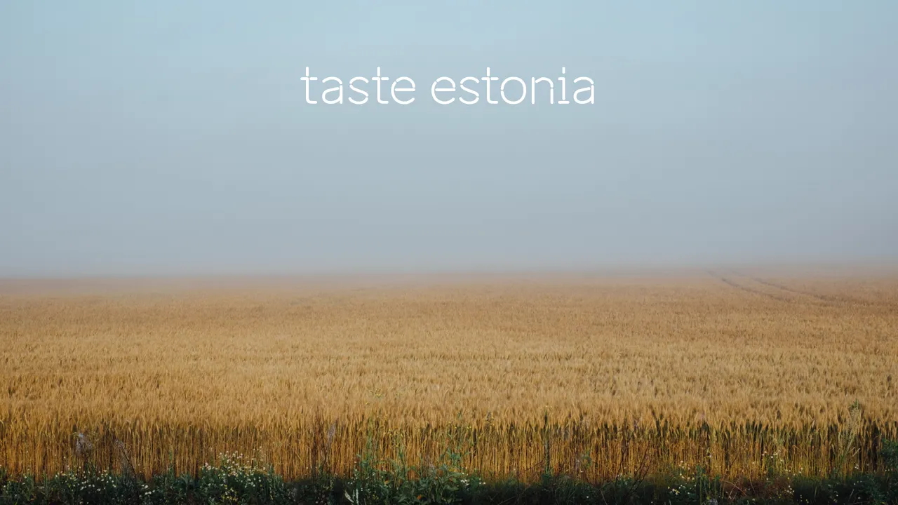 taste estonia video call background