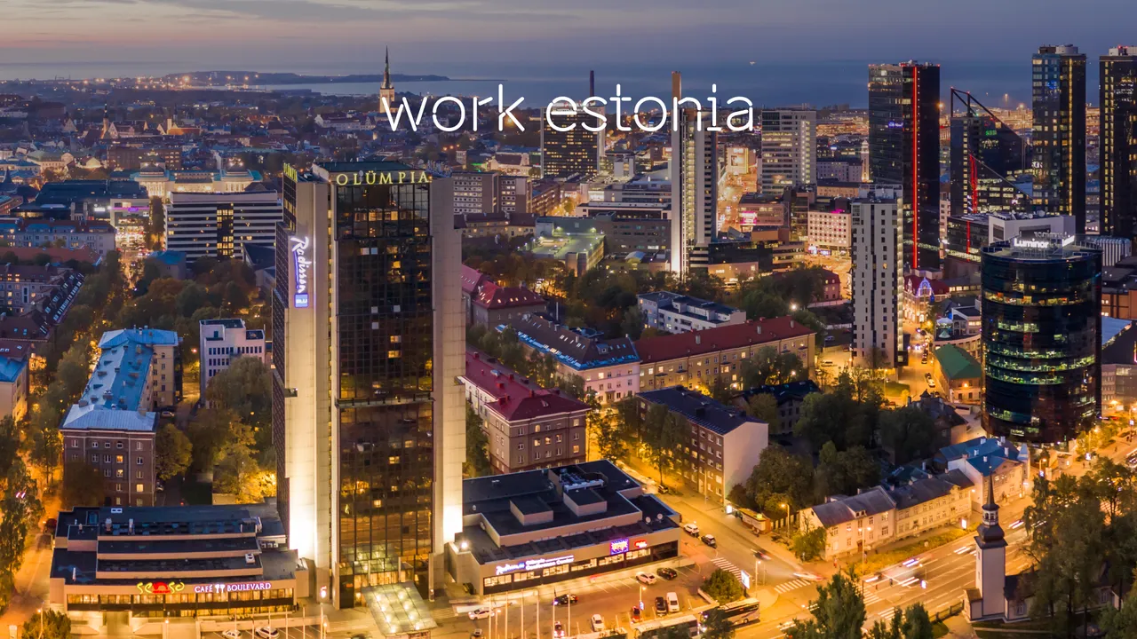 work estonia video call background