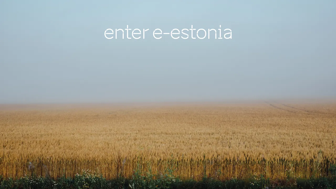 enter e-Estonia Zoom video call background