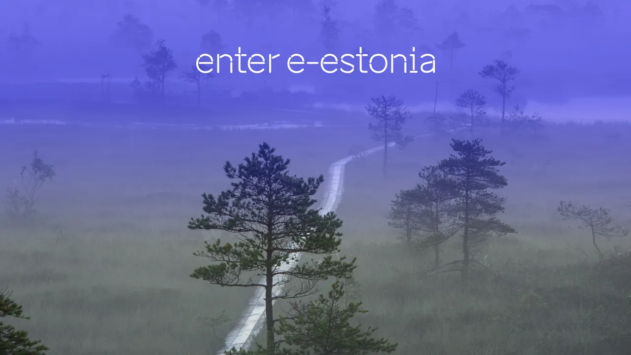 enter e-Estonia Zoom video call background