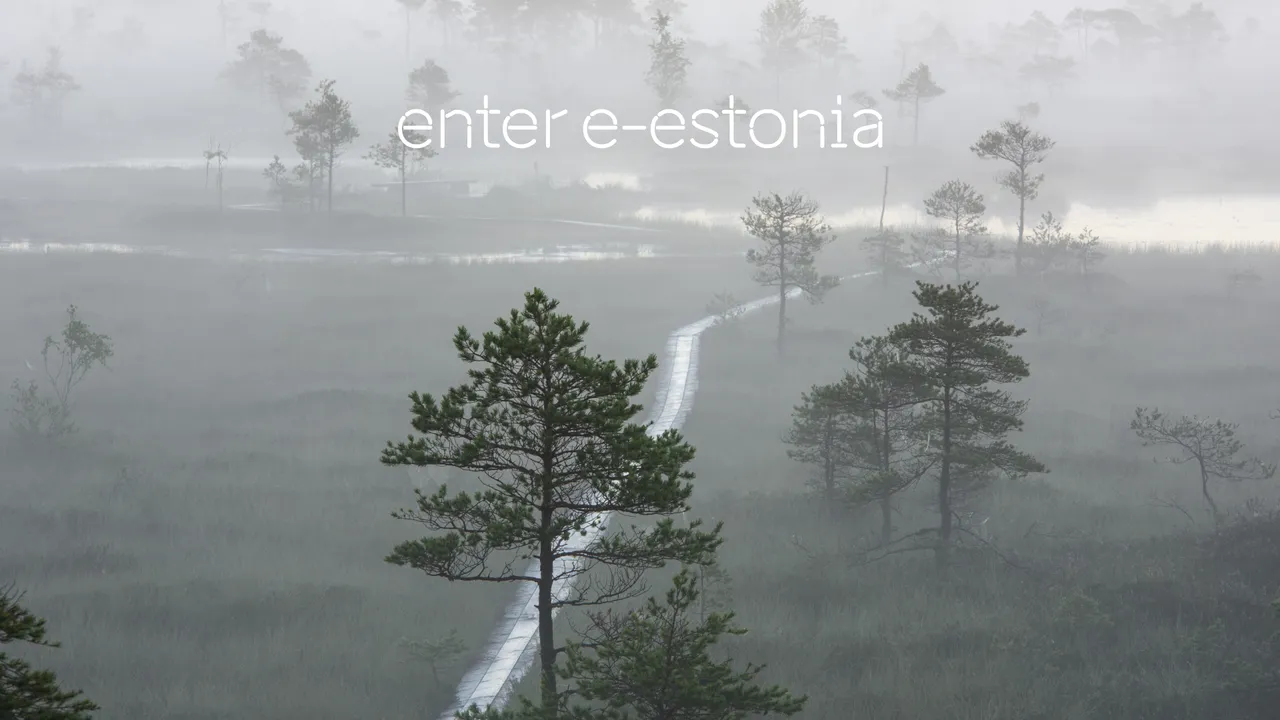 enter e-Estonia Zoom video call background
