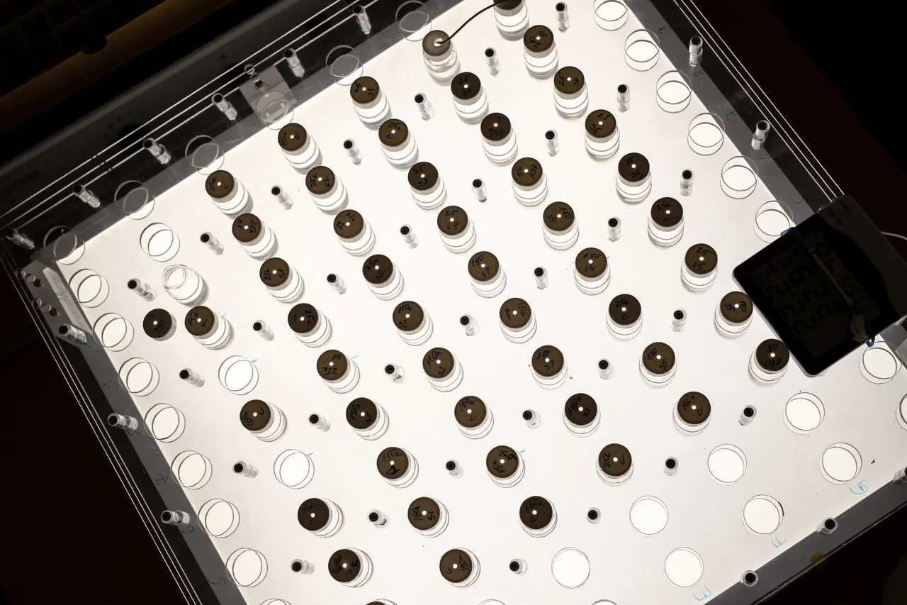 The algal growth inhibition test