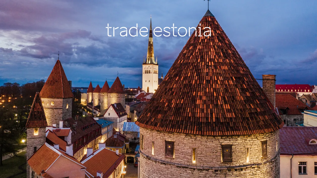 trade estonia Zoom video call background