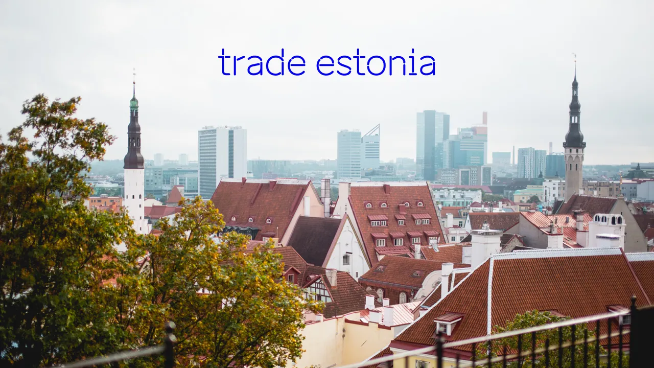 trade estonia Zoom video call background