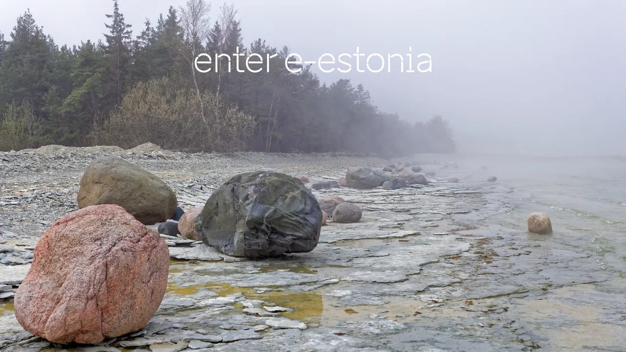 enter e-Estonia Zoom video call background