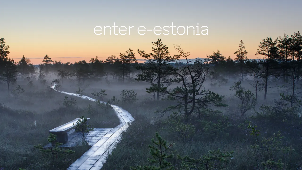 enter e-Estonia Zoom video call background