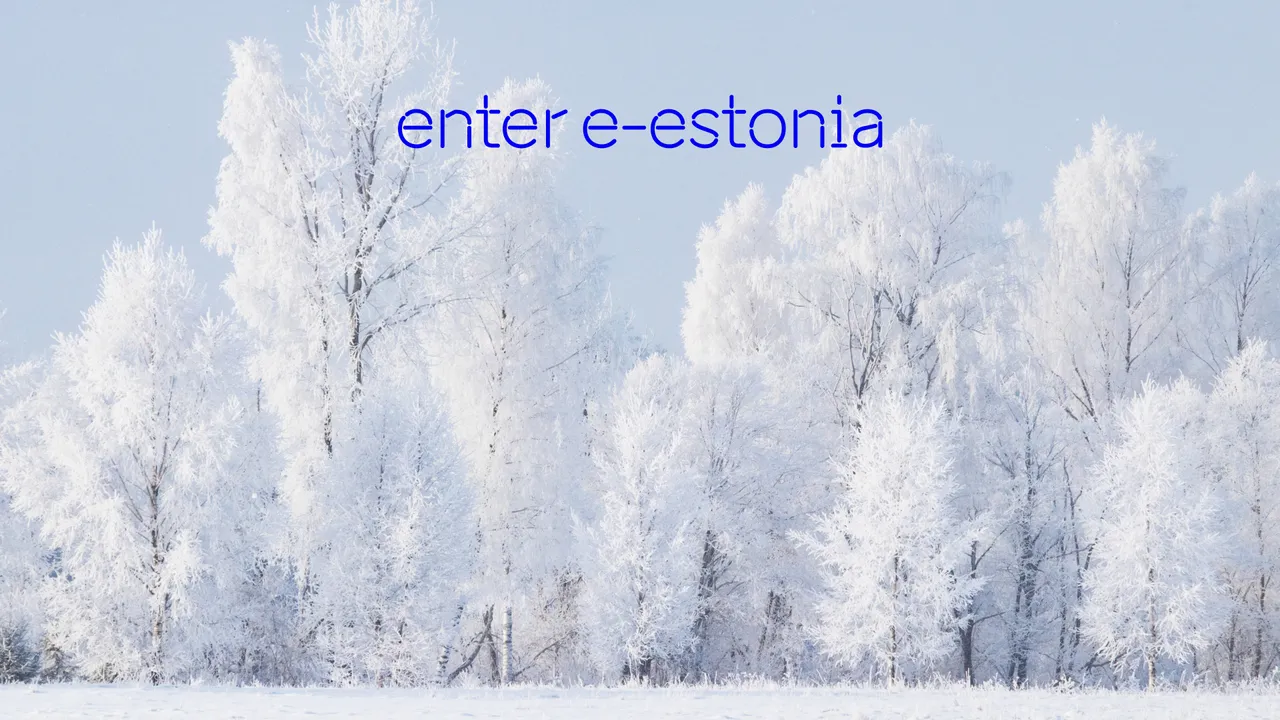 enter e-Estonia Zoom video call background