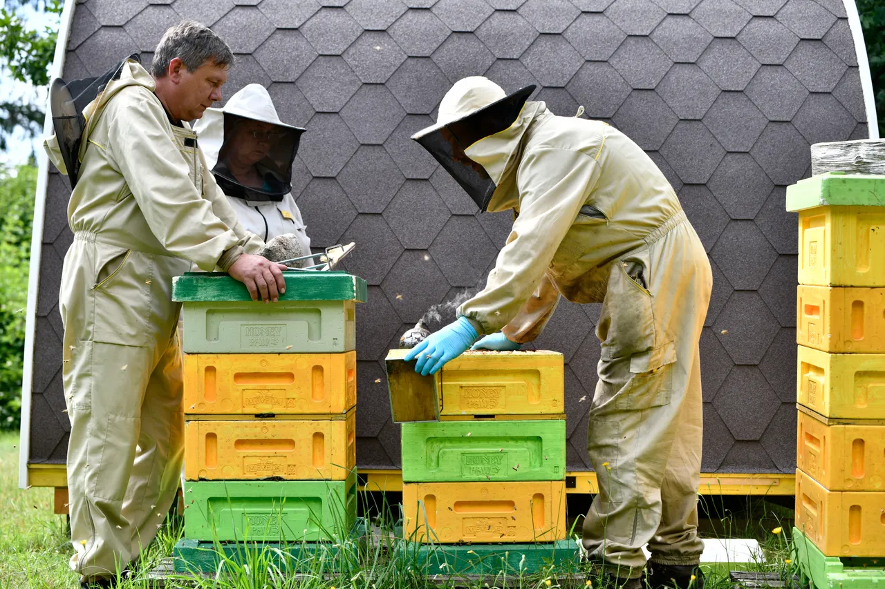 Beekeepers